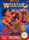 Tecmo world wresling