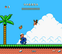 The Adventure island 2