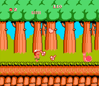 Adventure Island Classic