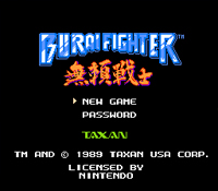 Burai Fighter