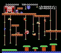 Donkey Kong Classics