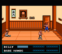 Double Dragon 3