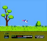 Duck Hunt