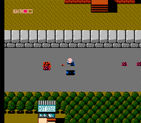 Fester's quest