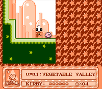 Kirby's Adventure