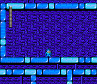 Mega Man 2