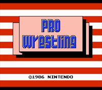 Pro Wrestling 