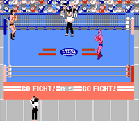 Pro Wrestling