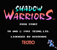 Shadow Warriors