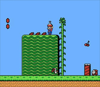 Super Mario Bros. 2