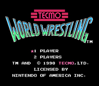 Tecmo World Wrestling