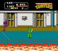Teenage Mutant Hero Turtles II