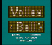 Volleyball 