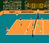 Volleyball