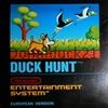 Duck hunt