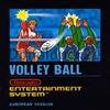 Volleyball Volleyball