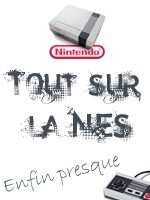 Tout savoir sur la NES